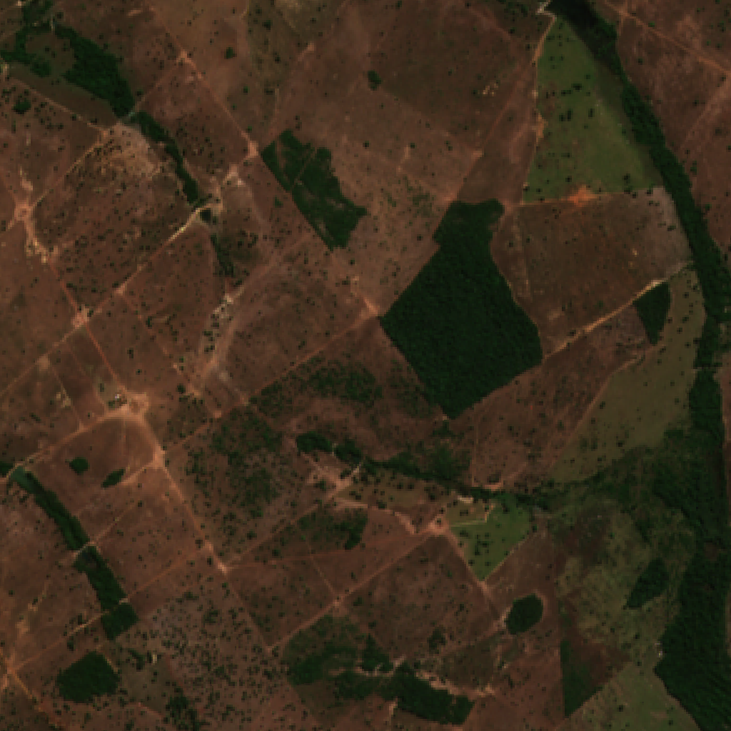 Imagem real de satélite Sentinel-2 de uma área de pecuária